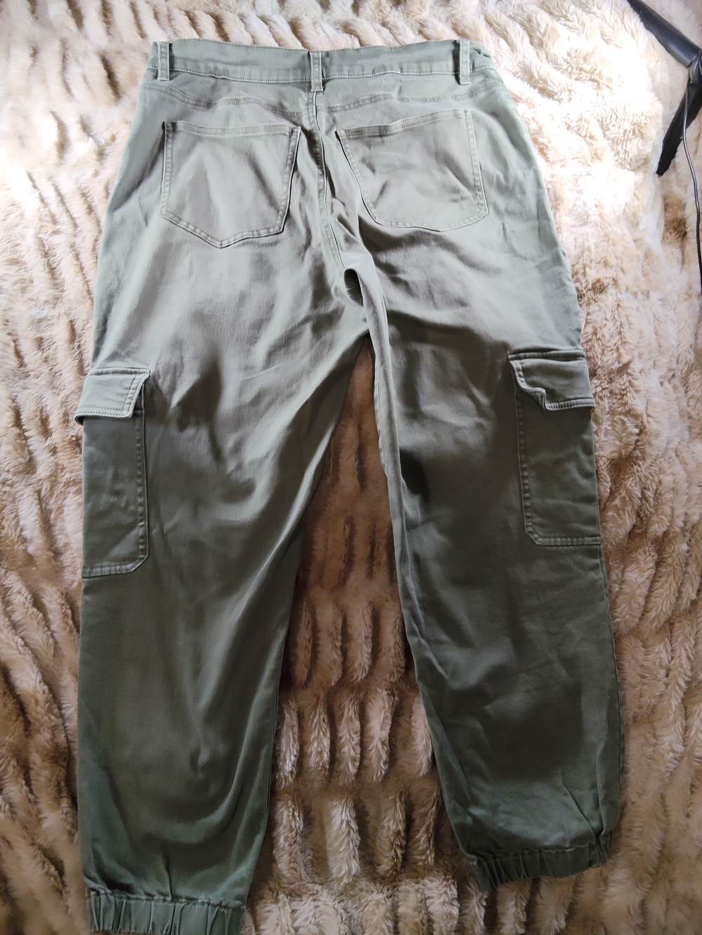 Express Olive Green Cargo Pants with Elastic Ankles - Picture 11 of 12